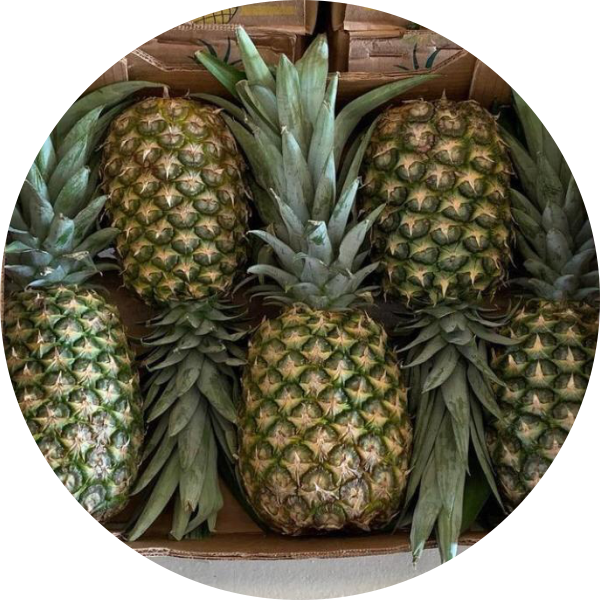 Pineapple